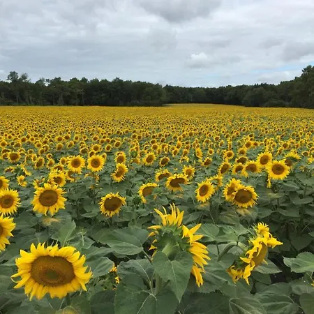 Pavillon Farniente Feriehus