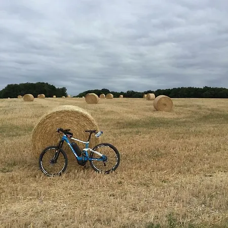 Feriehus Pavillon Farniente *