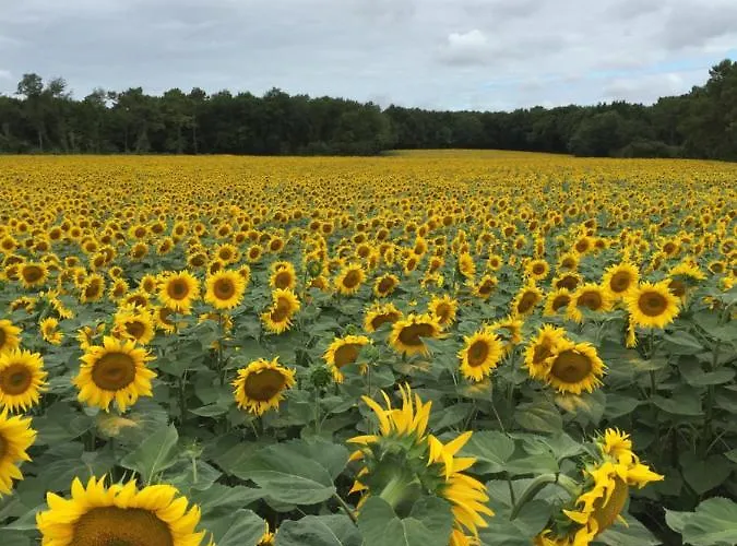 Pavillon Farniente Vakantiehuis